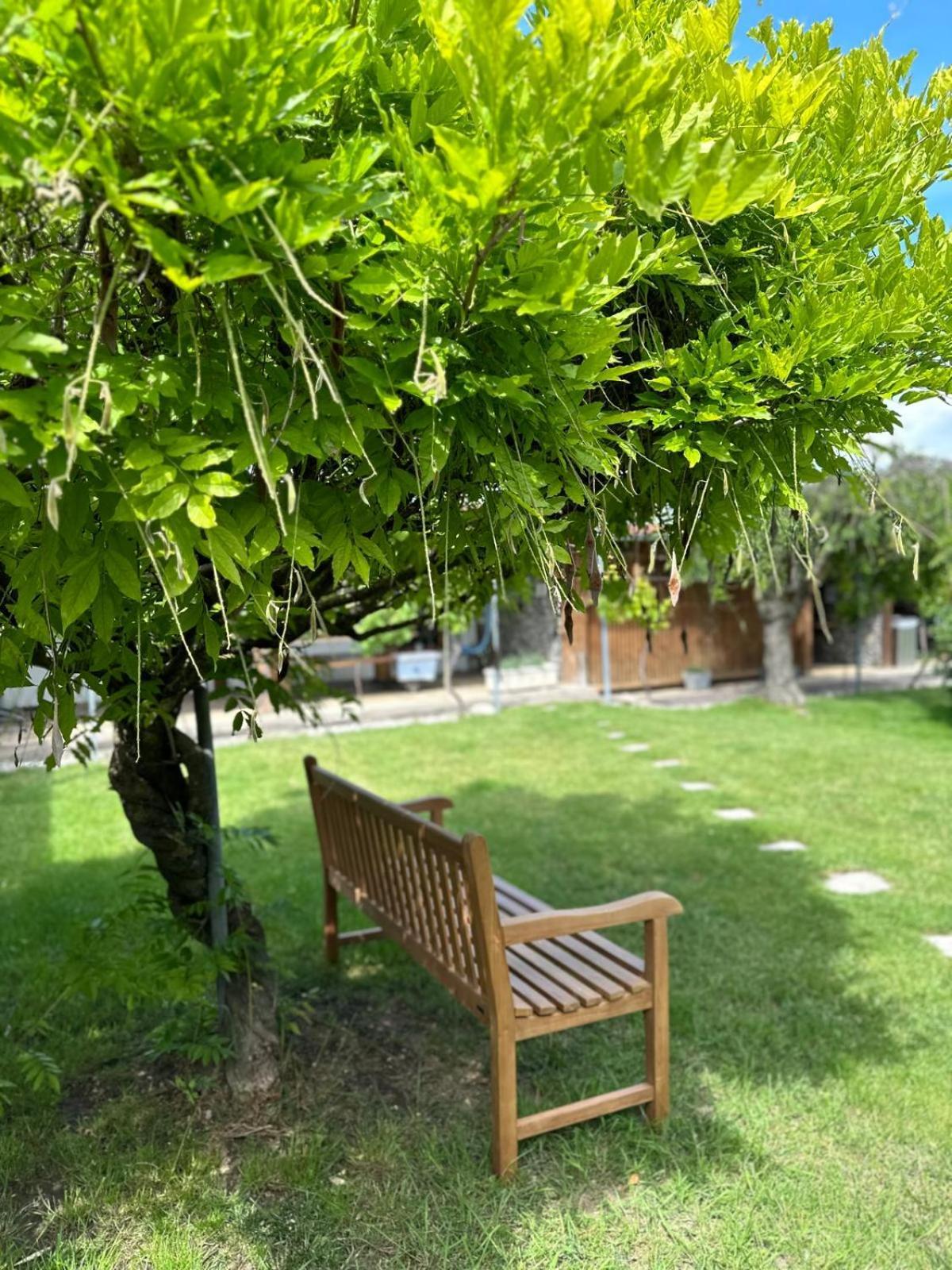 Apartman Lipa מיקולוב מראה חיצוני תמונה